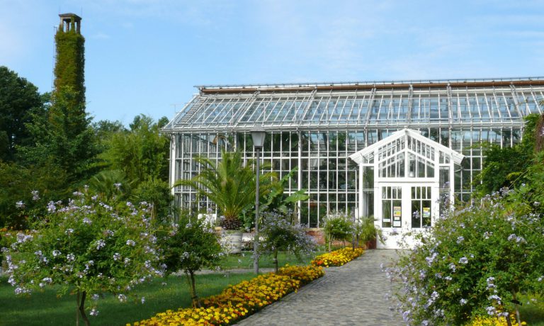 Botanischer Garten Freundeskreis des Botanischen Gartens der